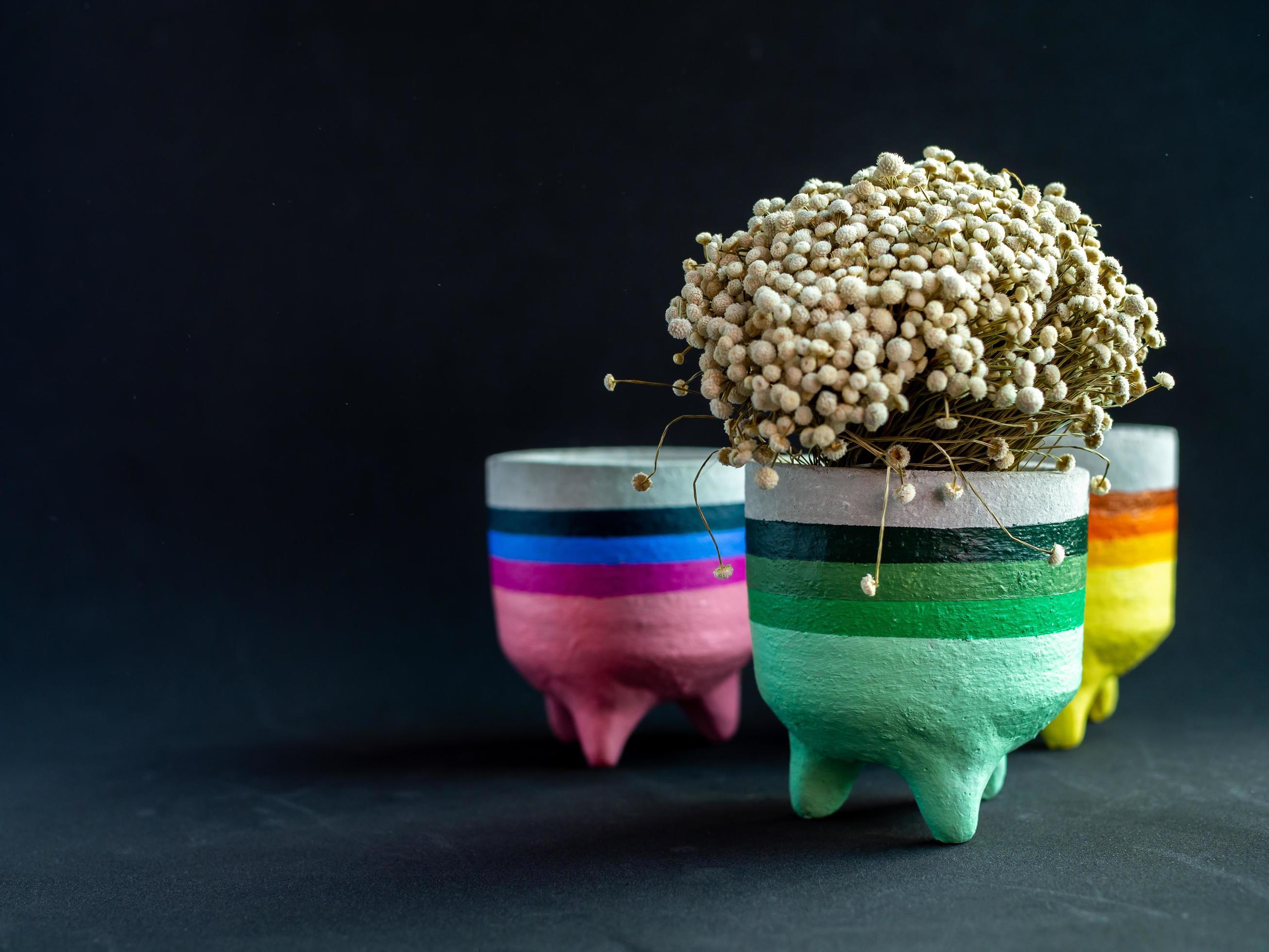 Colorful concrete planters. Painted concrete pots for home decoration