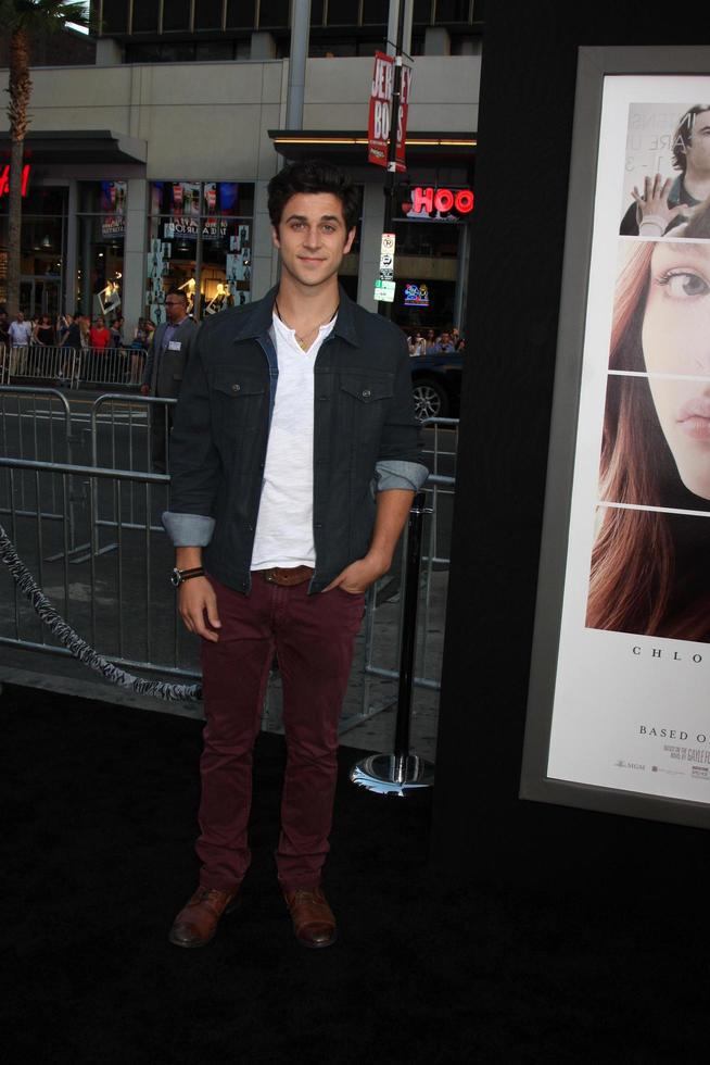 LOS ANGELES, AUG 20 - David Henrie at the If I Stay Premiere at TCL Chinese Theater on August 20, 2014 in Los Angeles, CA photo