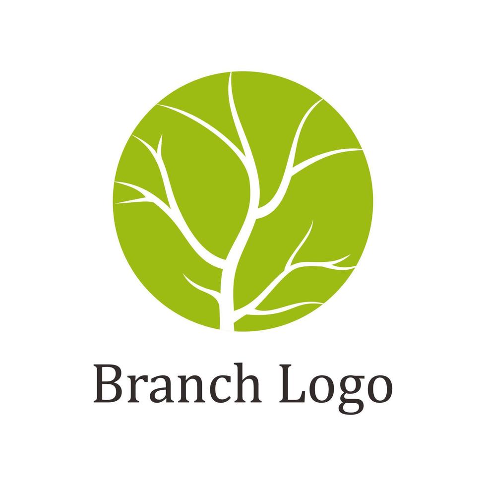 branch tree logo vector