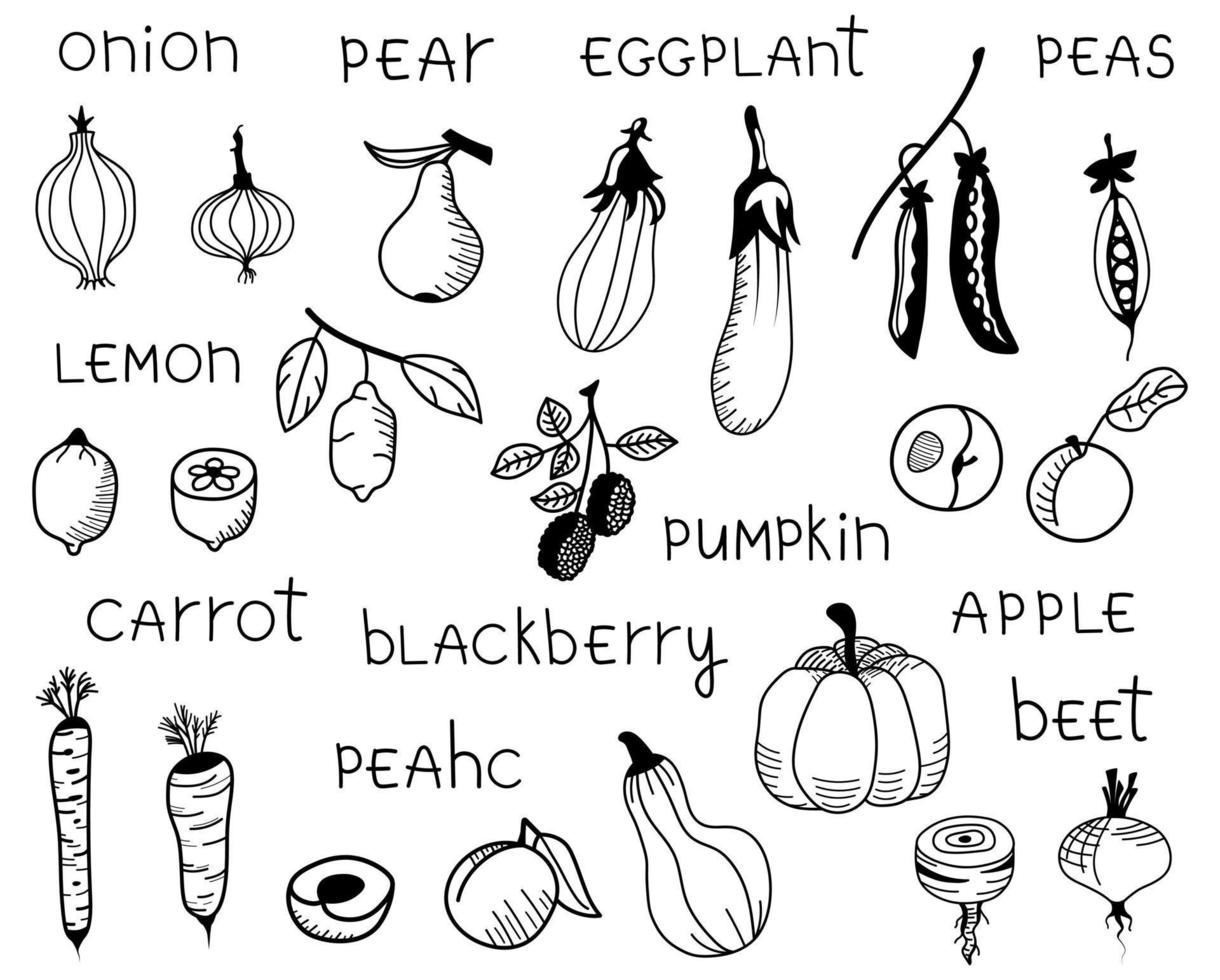 conjunto de frutas y verduras aisladas dibujadas a mano. colección de garabatos vectoriales de manzanas, peras, limones, calabazas, moras, zanahorias, berenjenas. vector