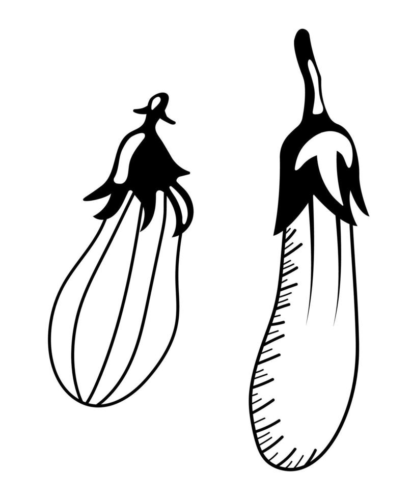 Isolated hand drawn eggplant. Doodle vector eggplant vegetable icons.