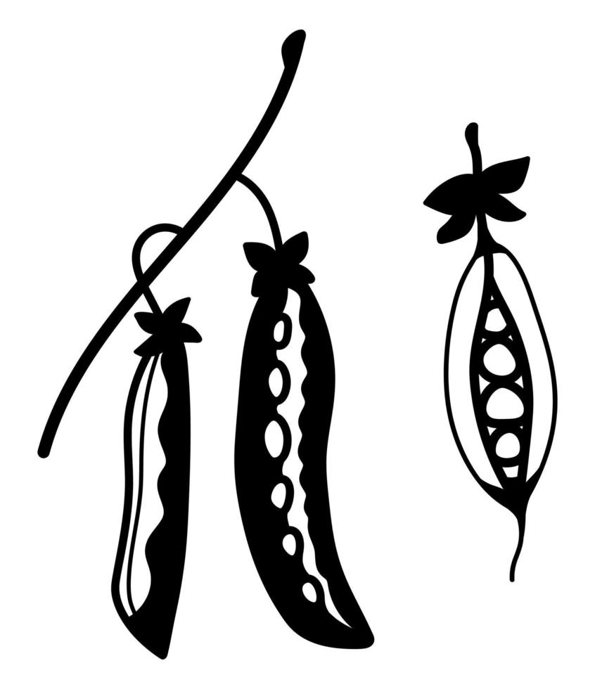 Isolated hand drawn peas. Doodle vector icons of pea pods.
