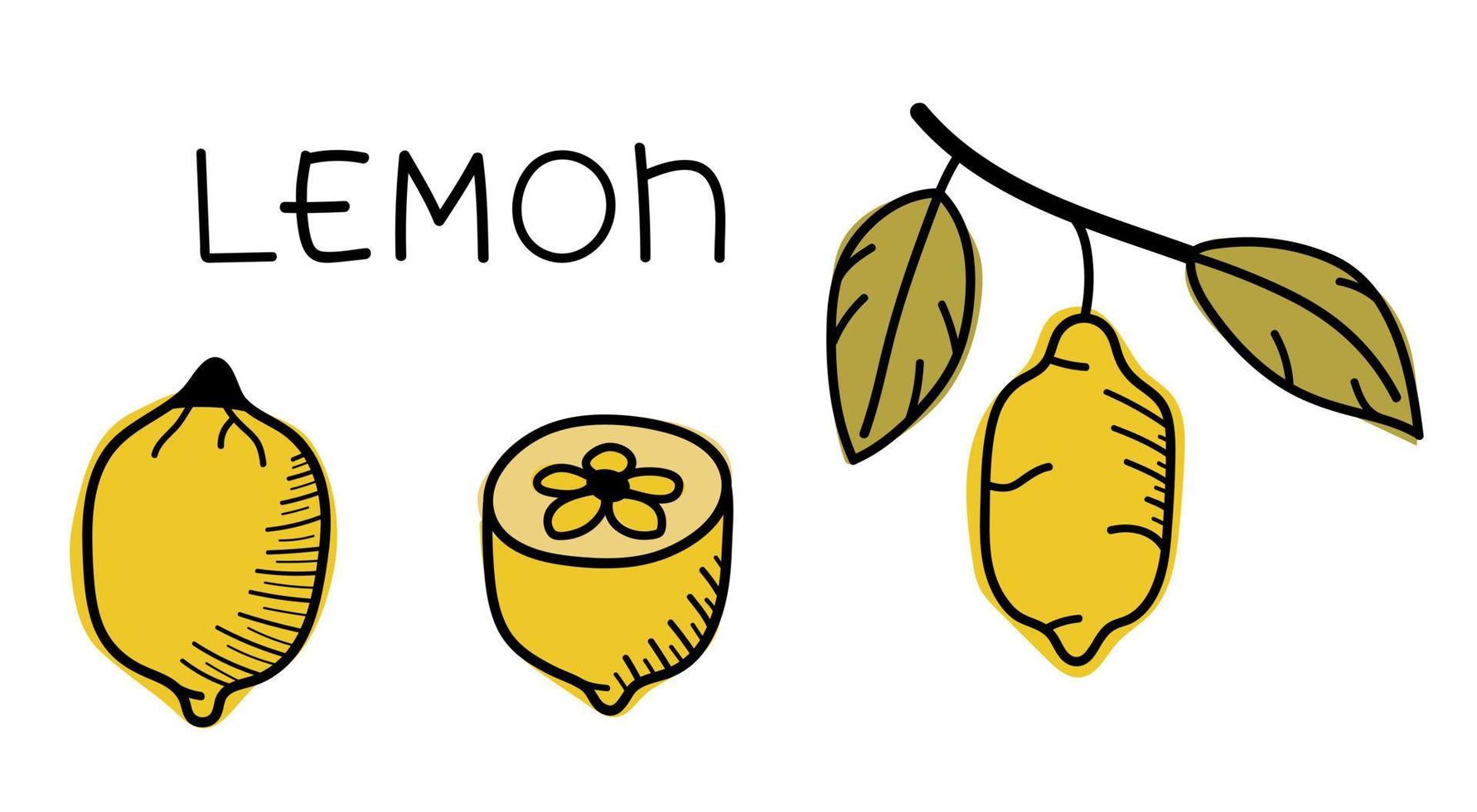 conjunto de limones aislados dibujados a mano. pegatinas de fideos vectoriales, iconos de limón. vector