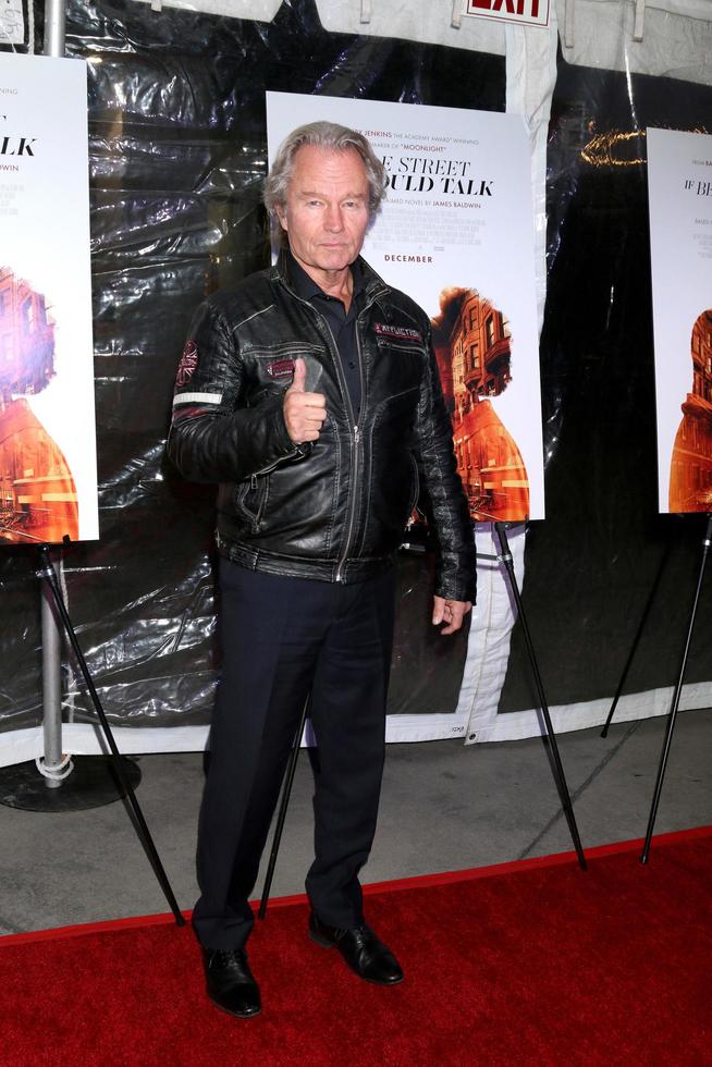 LOS ANGELES DEC 4 - John Savage at the If Beale Street Could Talk Screening at the ArcLight Hollywood on December 4, 2018 in Los Angeles, CA photo