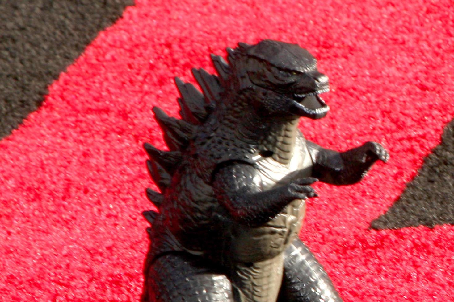 LOS ANGELES  MAY 8 - Atmopshere at the Godzilla Premiere at Dolby Theater on May 8, 2014 in Los Angeles, CA photo
