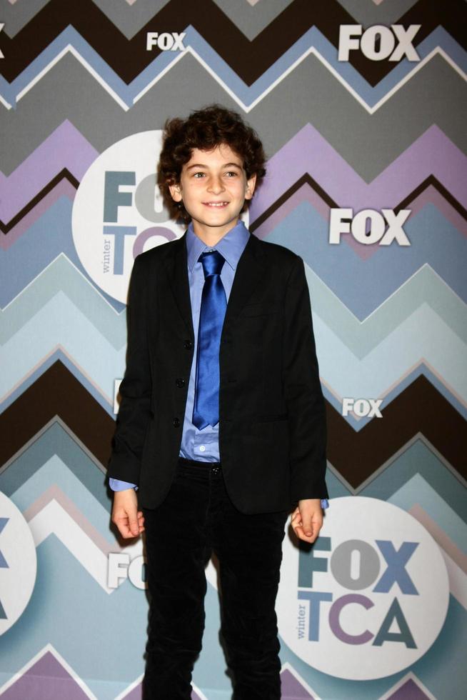 LOS ANGELES, JAN 8 - David Mazouz attends the FOX TV 2013 TCA Winter Press Tour at Langham Huntington Hotel on January 8, 2013 in Pasadena, CA photo