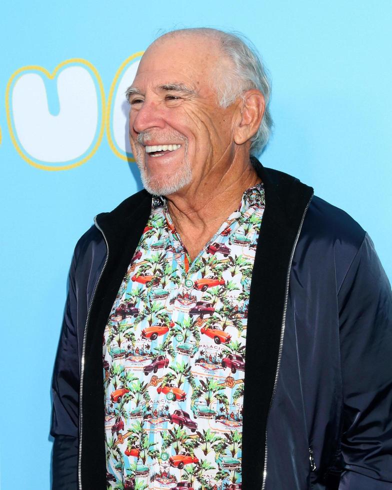 LOS ANGELES MAR 28 - Jimmy Buffett at The Beach Bum Premiere at the ArcLight Hollywood on March 28, 2019 in Los Angeles, CA photo