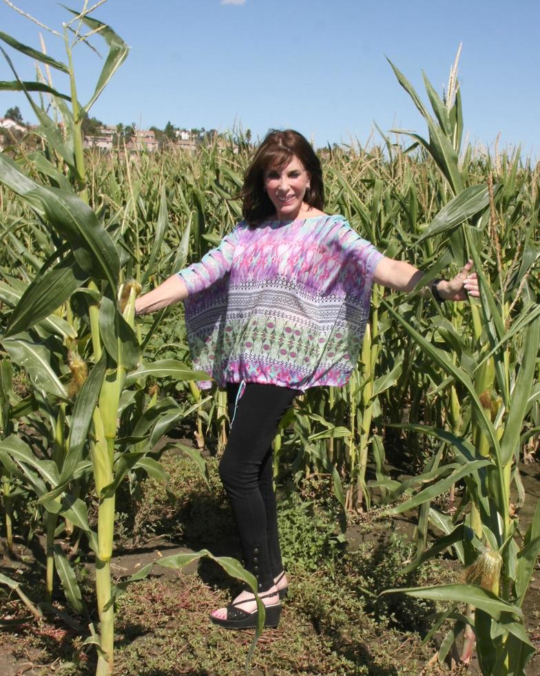 LOS ANGELES, OCT 9 - Kate Linder at the Celebrities Salute the Military at Corn Maze at the Big Horse Feed and Mercantile on October 9, 2015 in Temecula, CA photo