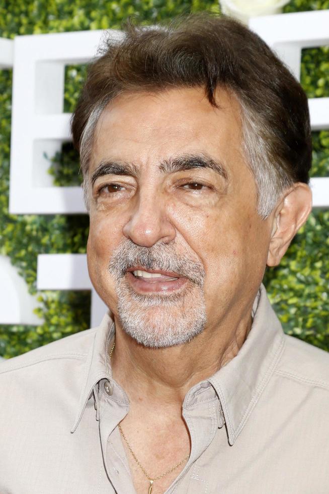 LOS ANGELES AUG 1 - Joe Mantegna at the CBS TV Studios Summer Soiree TCA Party 2017 at the CBS Studio Center on August 1, 2017 in Studio City, CA photo