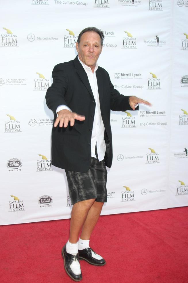 LOS ANGELES, SEP 26 - Chris Mulkey at the Catalina Film Festival Saturday Gala at the Avalon Theater on September 26, 2015 in Avalon, CA photo