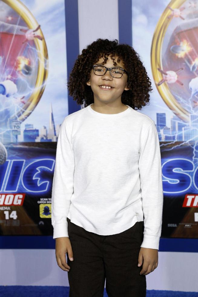 LOS ANGELES  FEB 12 - Ethan William Childress at the Sonic The Hedgehog Special Screening at the Village Theater on February 12, 2020 in Westwood, CA photo
