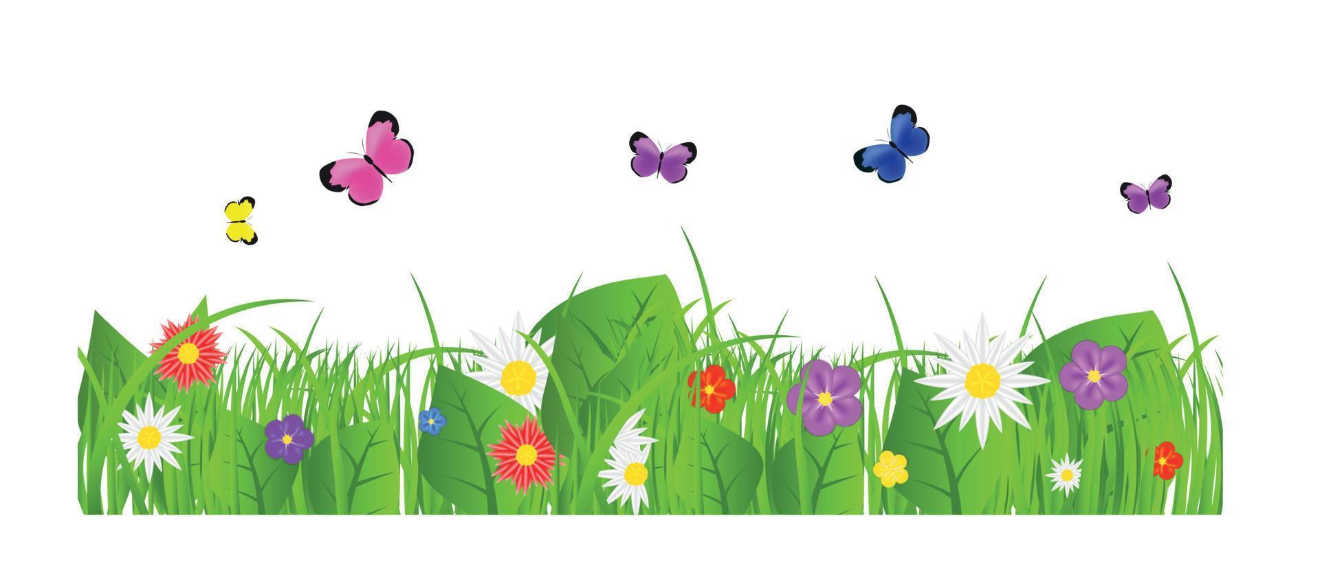 Flower and grass Borders set. vector illustration