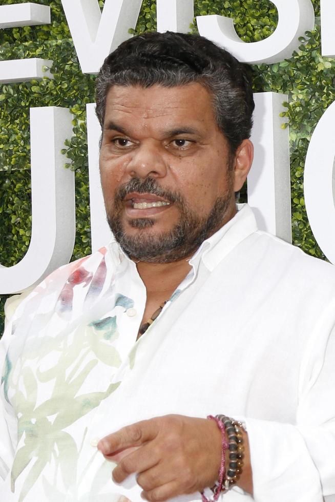 LOS ANGELES   AUG 1 - Luis Guzman at the CBS TV Studios Summer Soiree TCA Party 2017 at the CBS Studio Center on August 1, 2017 in Studio City, CA photo