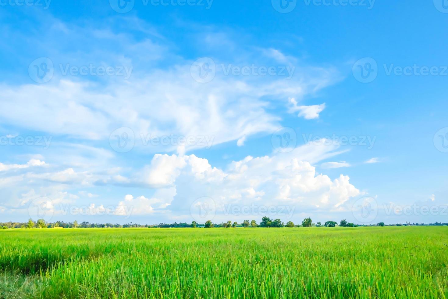 The sky and clouds  of the green fields.The sky and clouds  of the green fields. photo