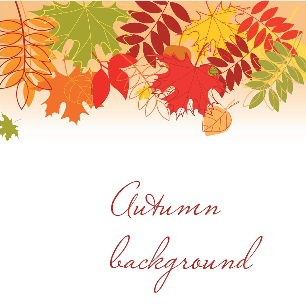 Autumn leaves falling background. vector