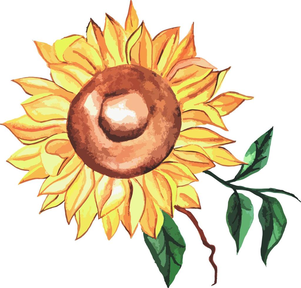 watercolor of a large sunflower flower with leaves and a branch. Vector. one element vector