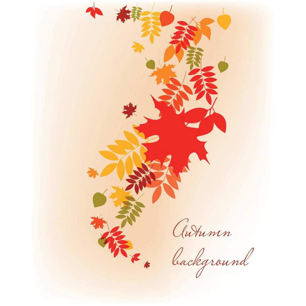 Autumn leaves falling background vector