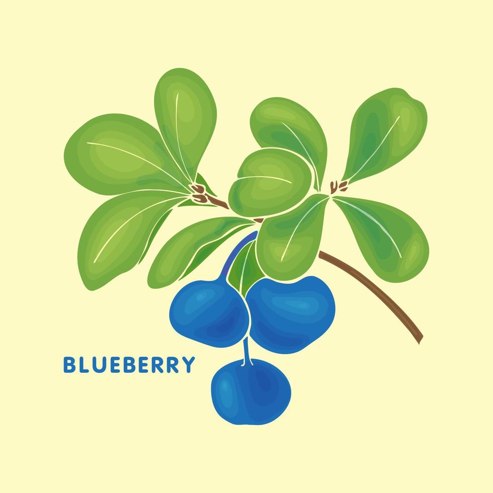 Blueberry Vaccinium uliginosum bog bilberry, bog blueberry. Hand drawn sketch NO contour. vector