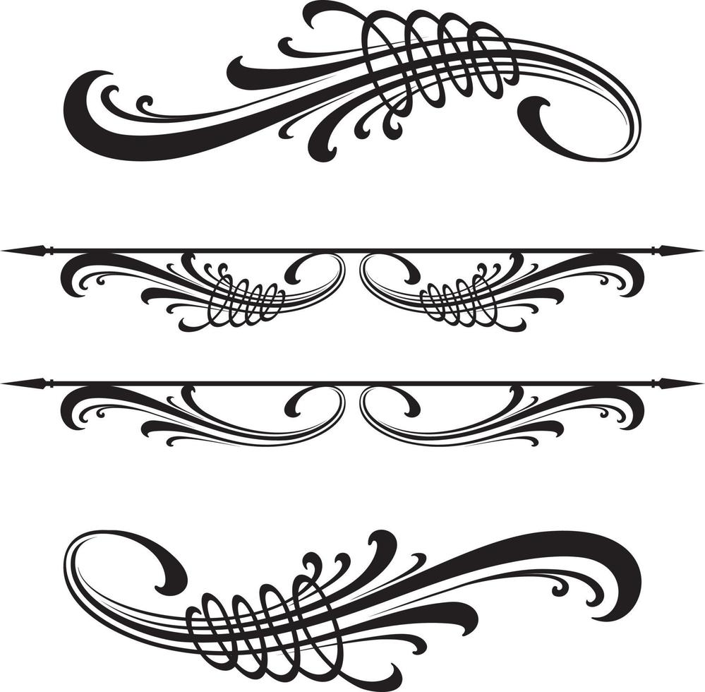 Calligraphic vector design elements isolated on white