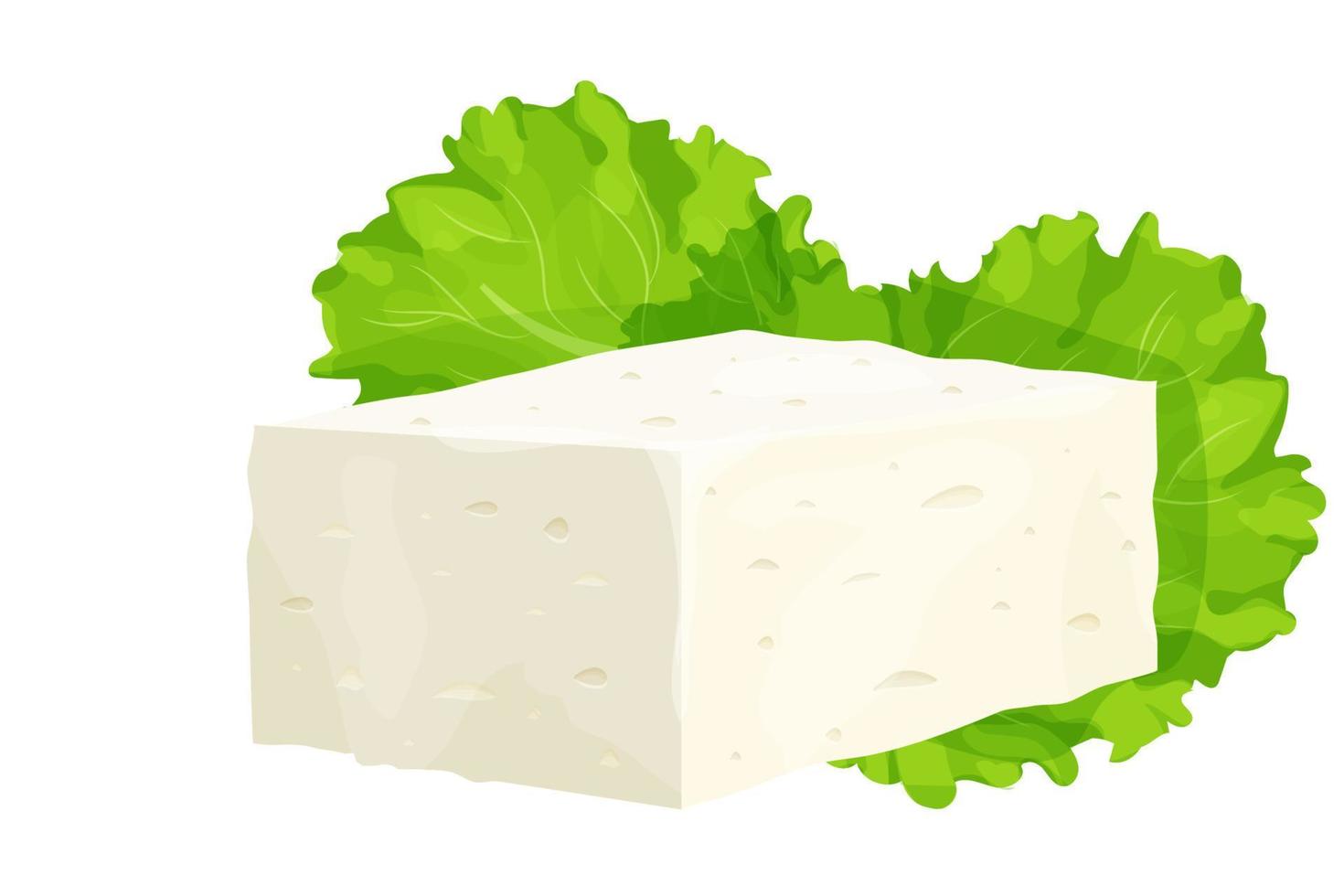 Feta cheese piece in cartoon style detailed ingredient isolated on white background. Greek curd white cheese made from sheeps milk or milk bean. Vector illustration