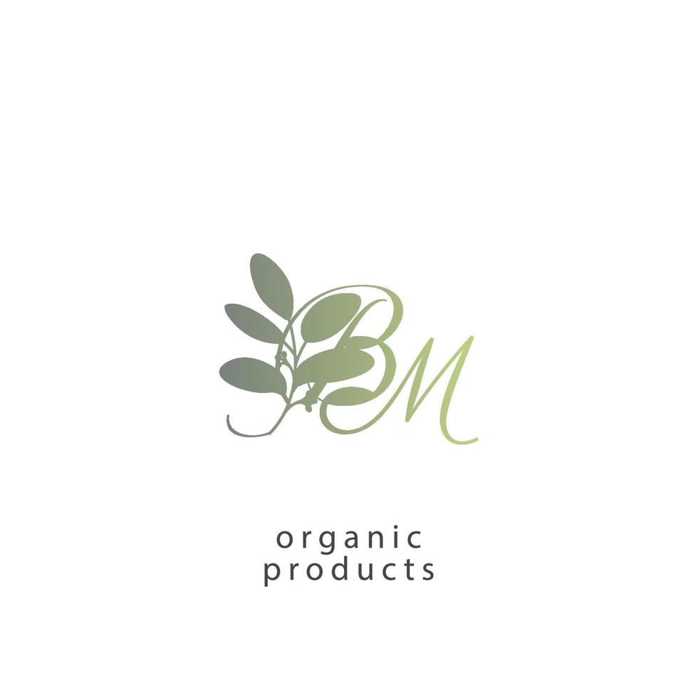 BM logo monogram with green leaf nature organic bio curved shape premium vector design template