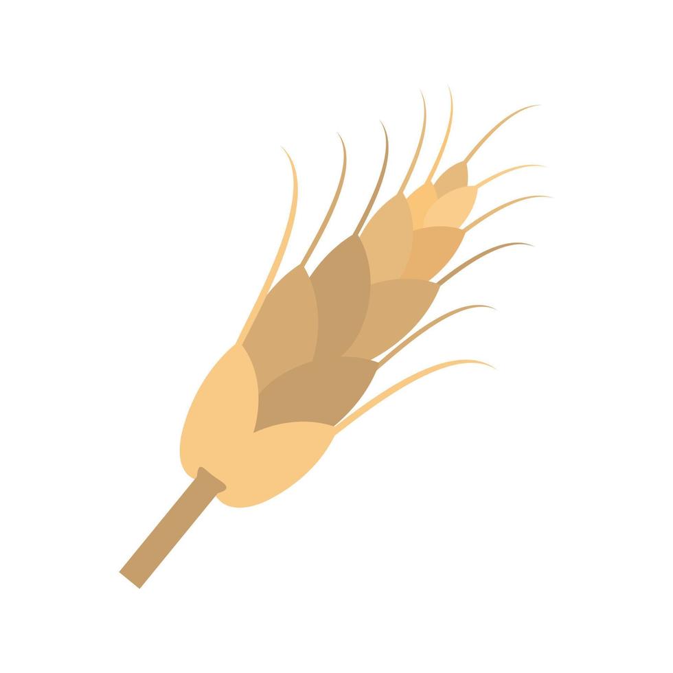 Wheat Flat Multicolor Icon vector