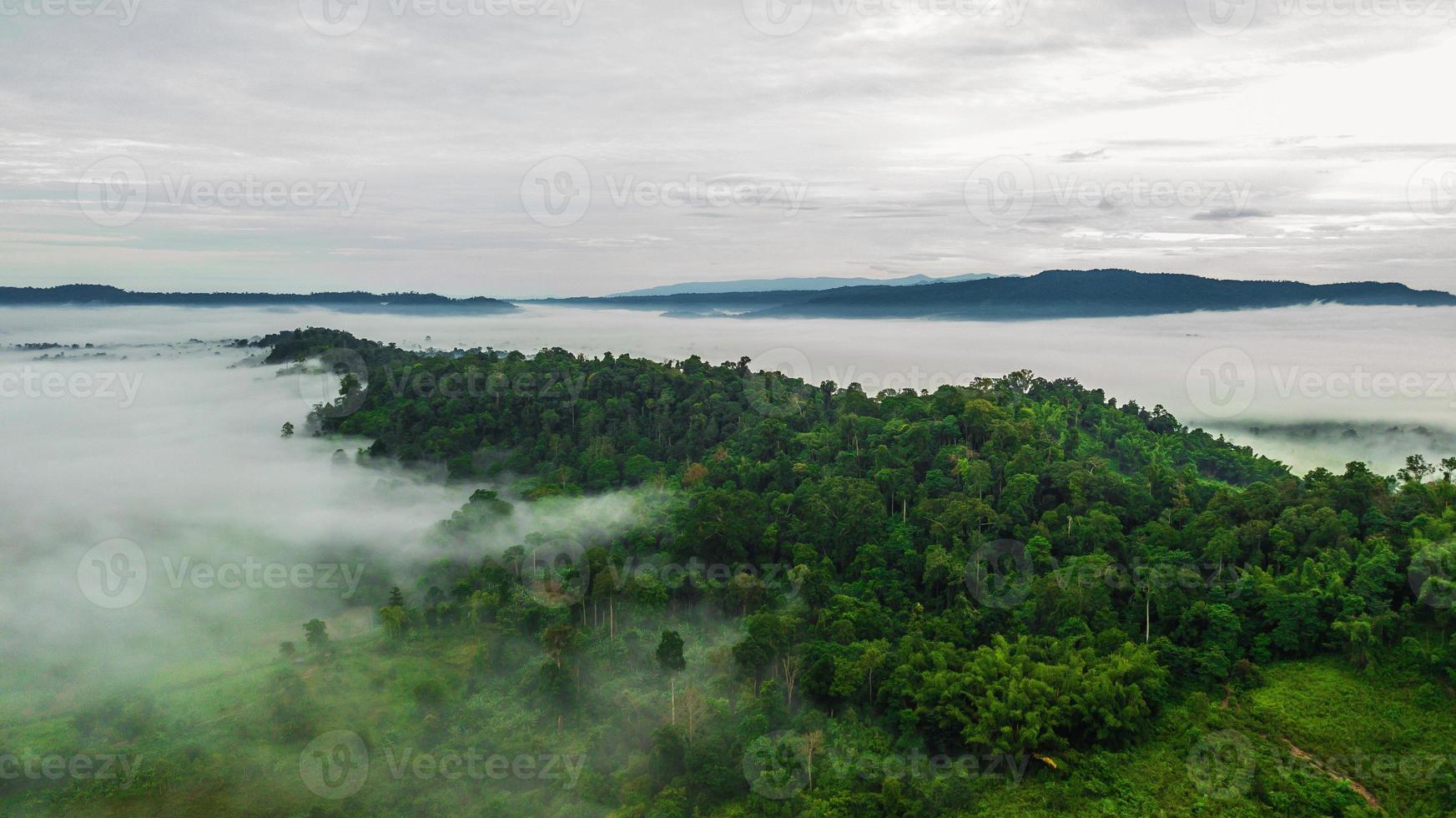 Mountains with trees and fog in thailand photo