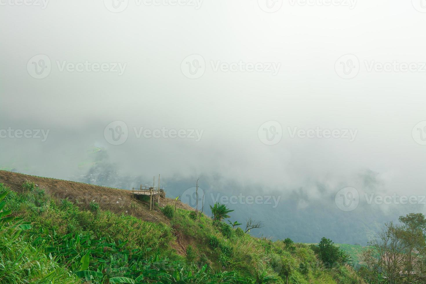 Landscape of   fog  and Mountain ,in Thailand photo