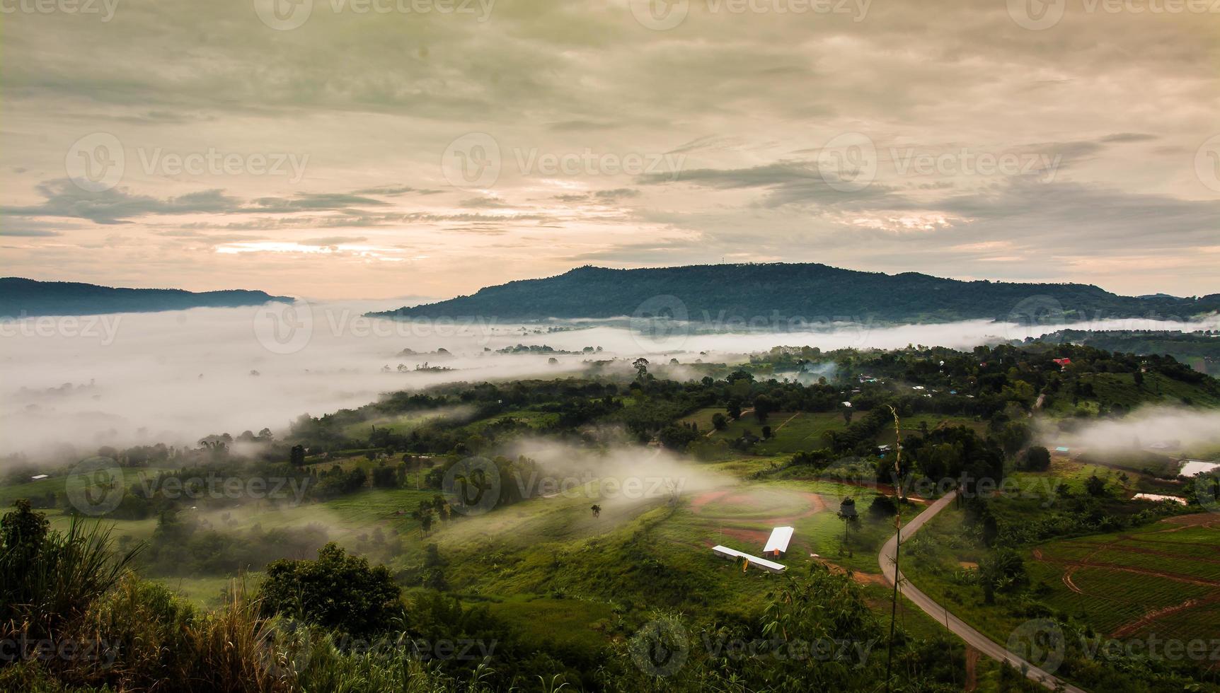 Mountains with trees and fog in thailand photo