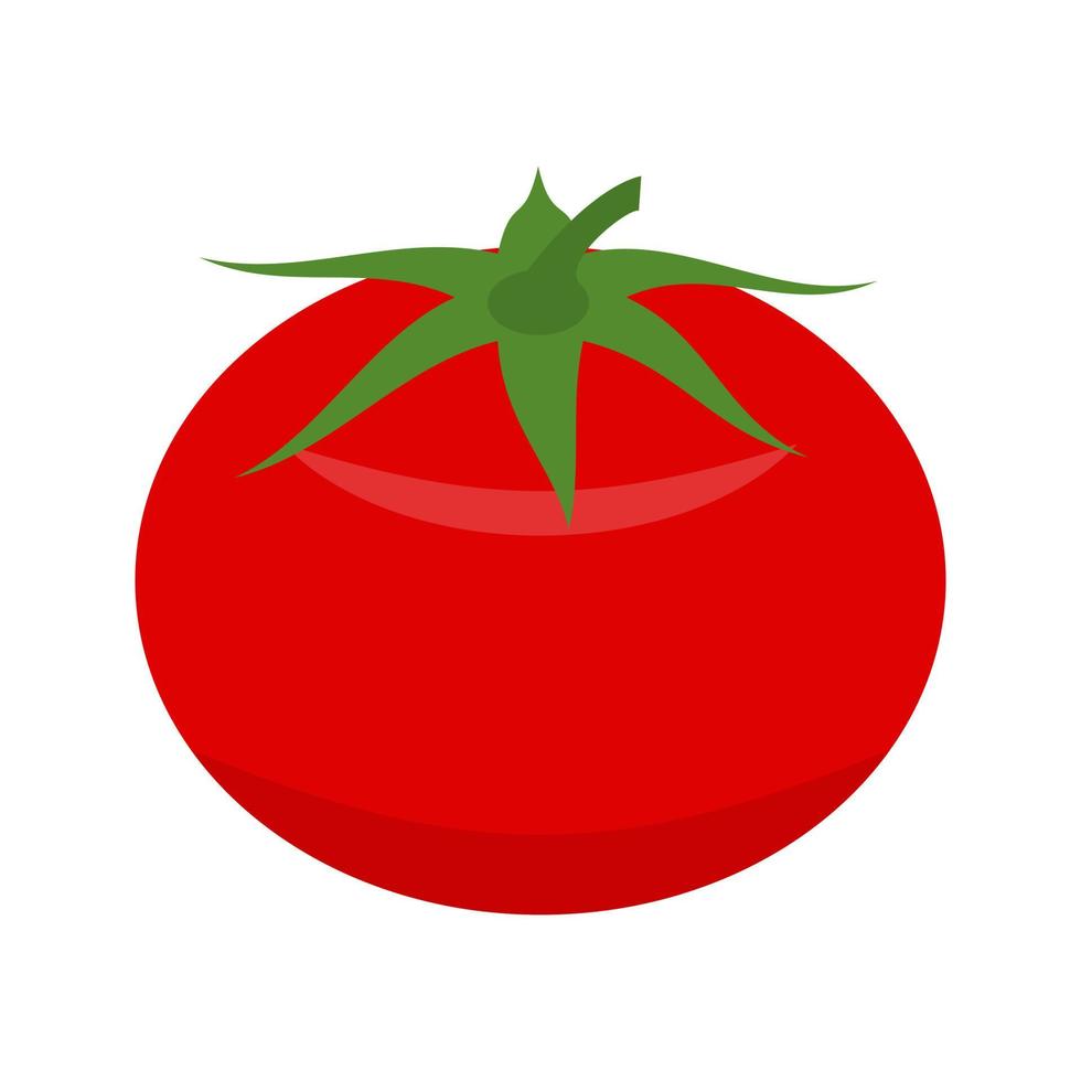 tomate, plano, multicolor, icono vector