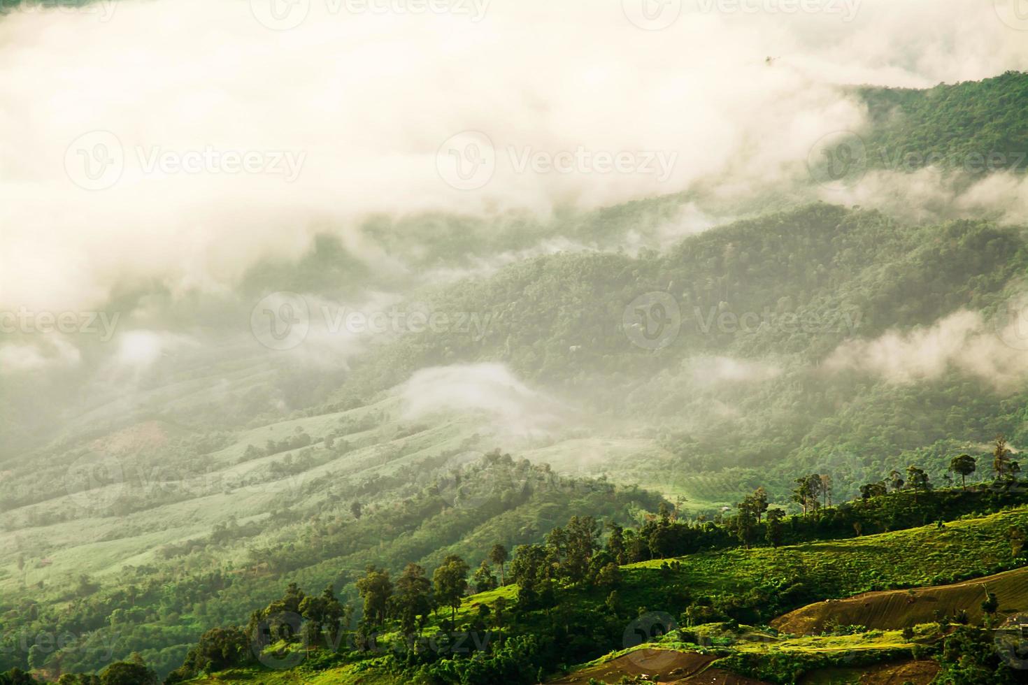 Morning Mist with Mountain ,sea of mis photo