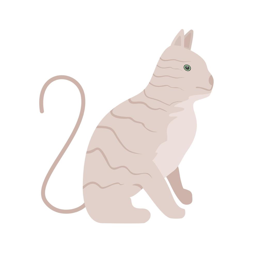 gato plana icono multicolor vector