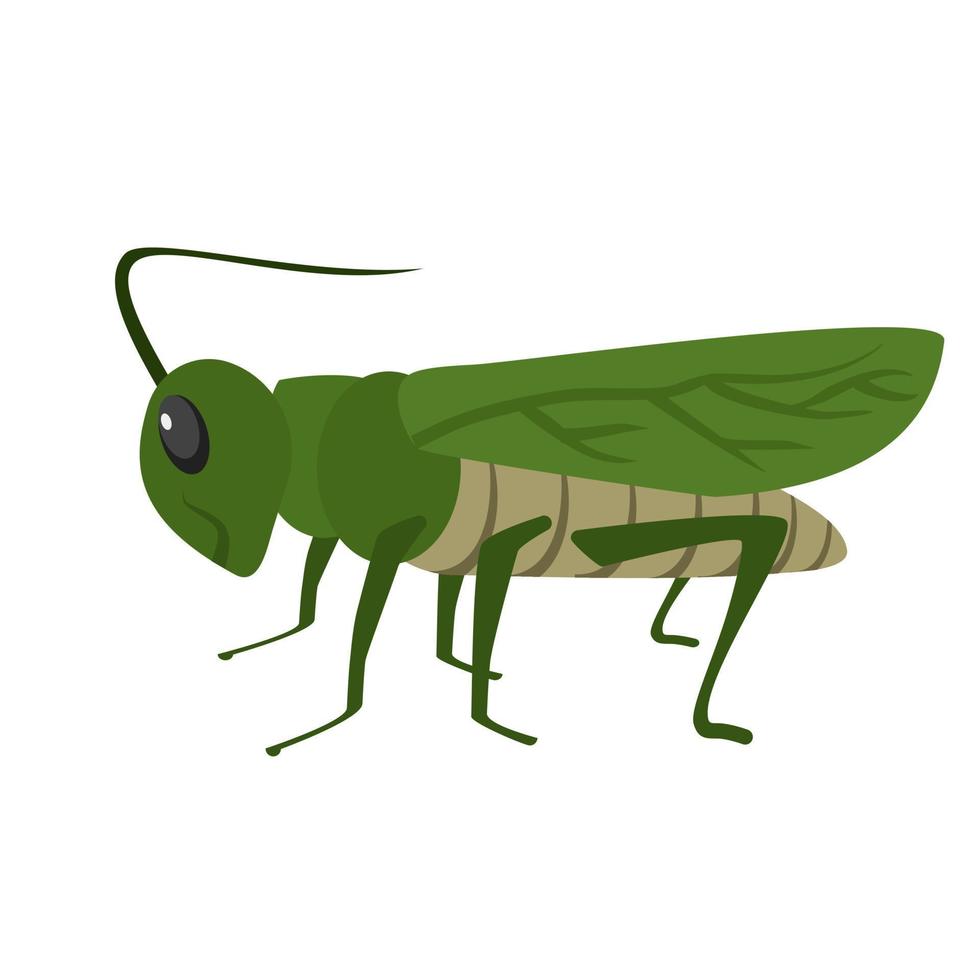 Grasshopper Flat Multicolor Icon vector