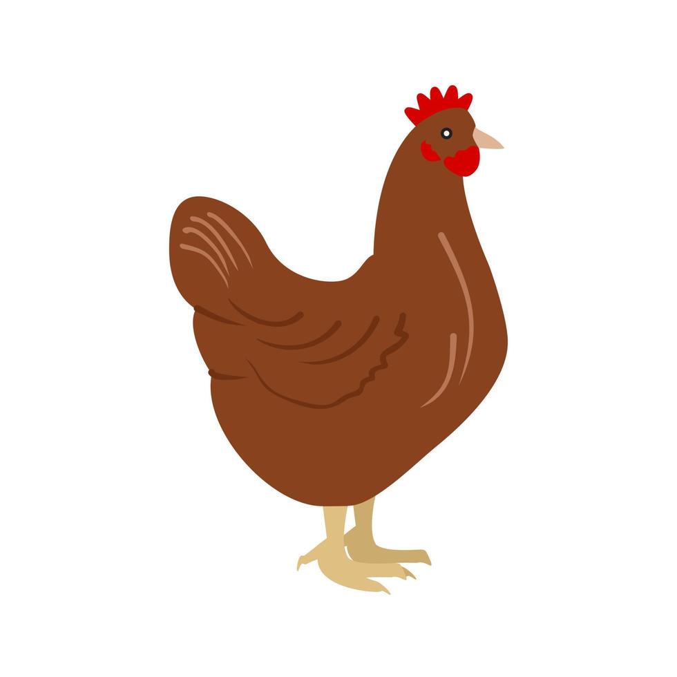 Chicken Flat Multicolor Icon vector