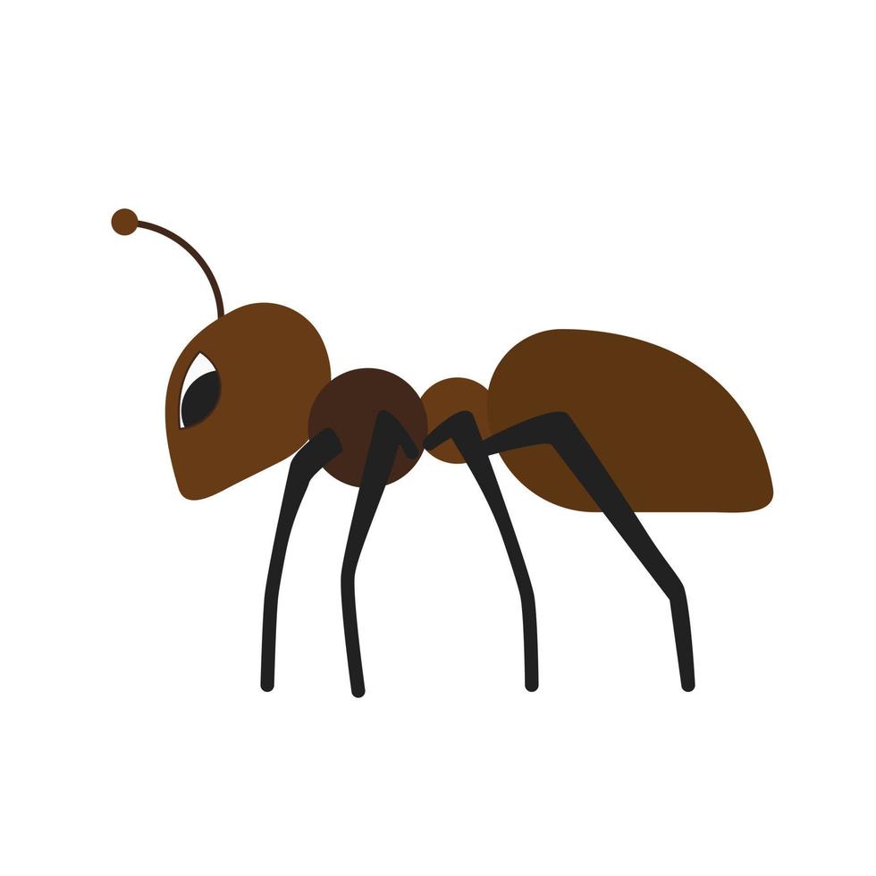 Ant II Flat Multicolor Icon vector