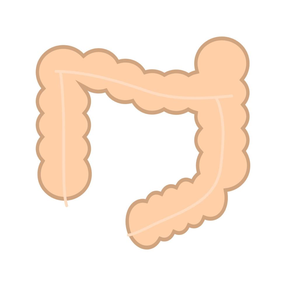 Intestines Flat Multicolor Icon vector