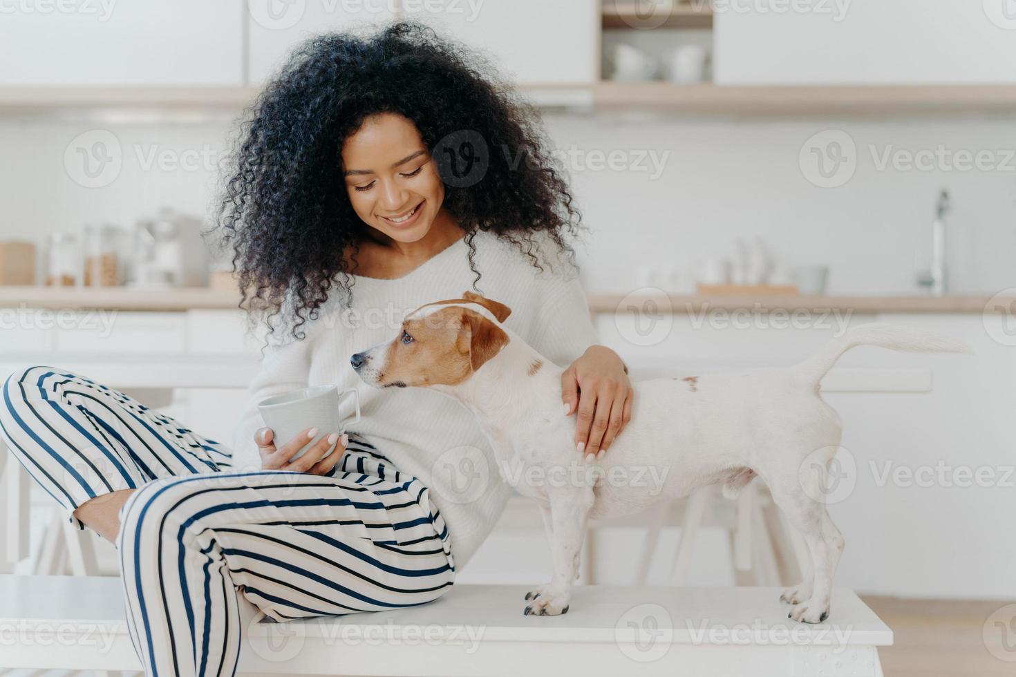 Shot of pleasant looking young woman focused down, plays with favourite dog, holds cup of drink, pose together in kitchen, express love, has free time. Relationship between people and animals photo