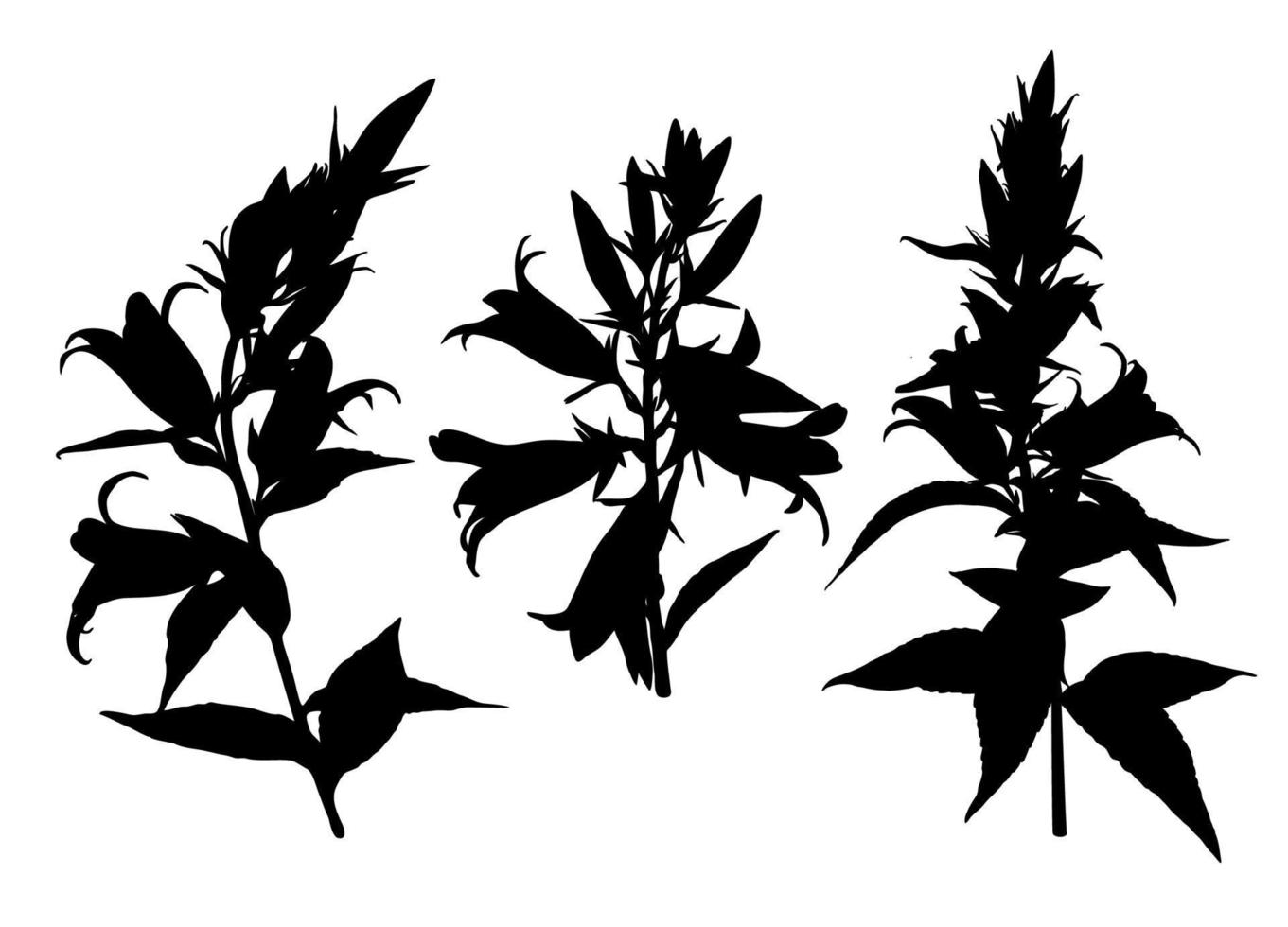 Set of Bluebell flower silhouettes isolated on white background. Meadow flowers collection. Vector illustration.