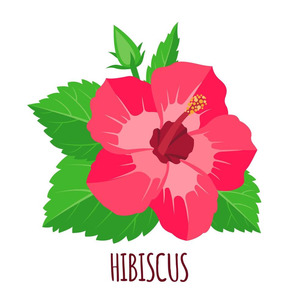 Hibiscus flower icon in flat style isolated on white background. Ayurvedic medicinal plant. Tropical exotic flower. Vector illustration.