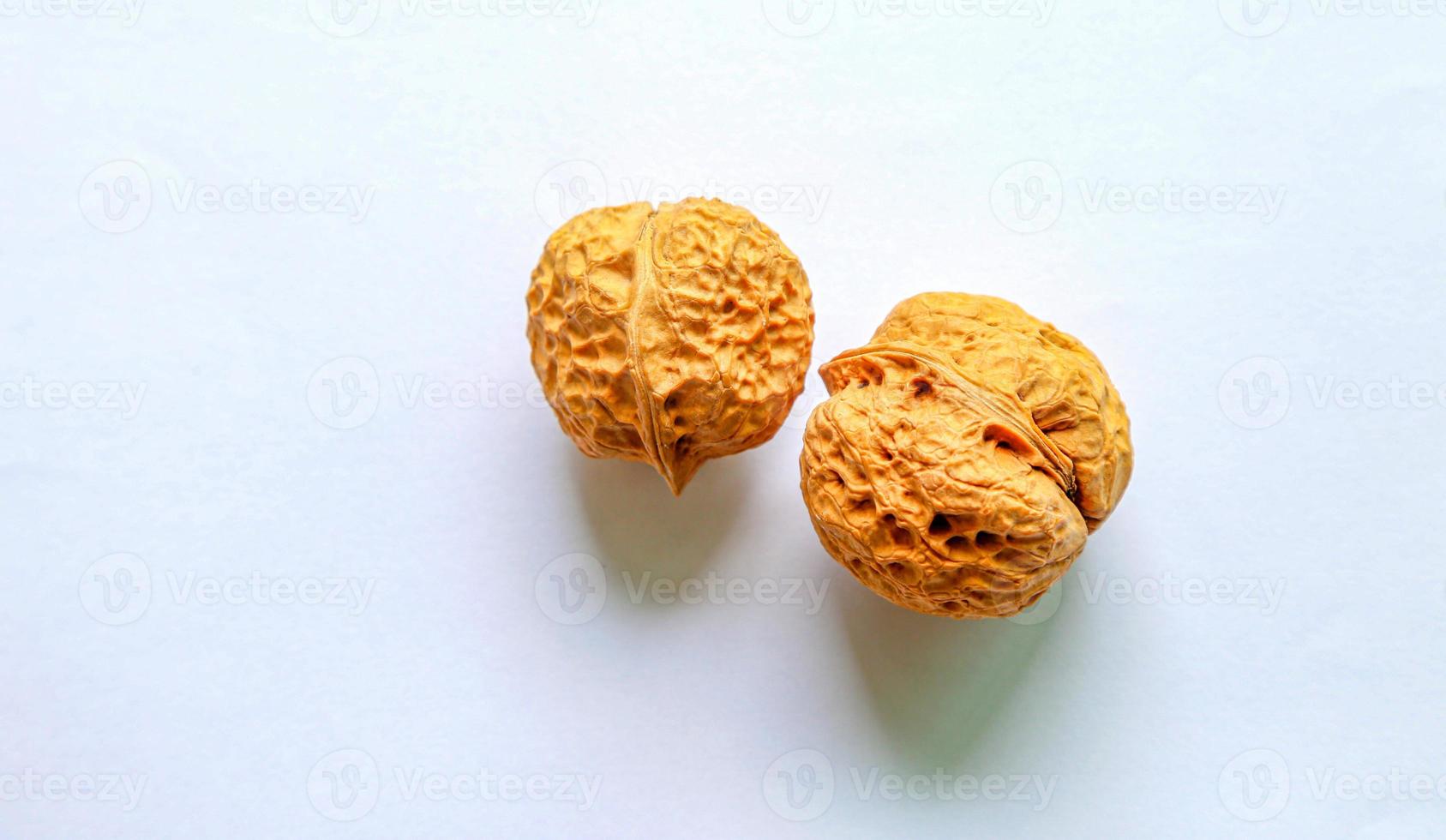 Two dry walnuts on white background. photo