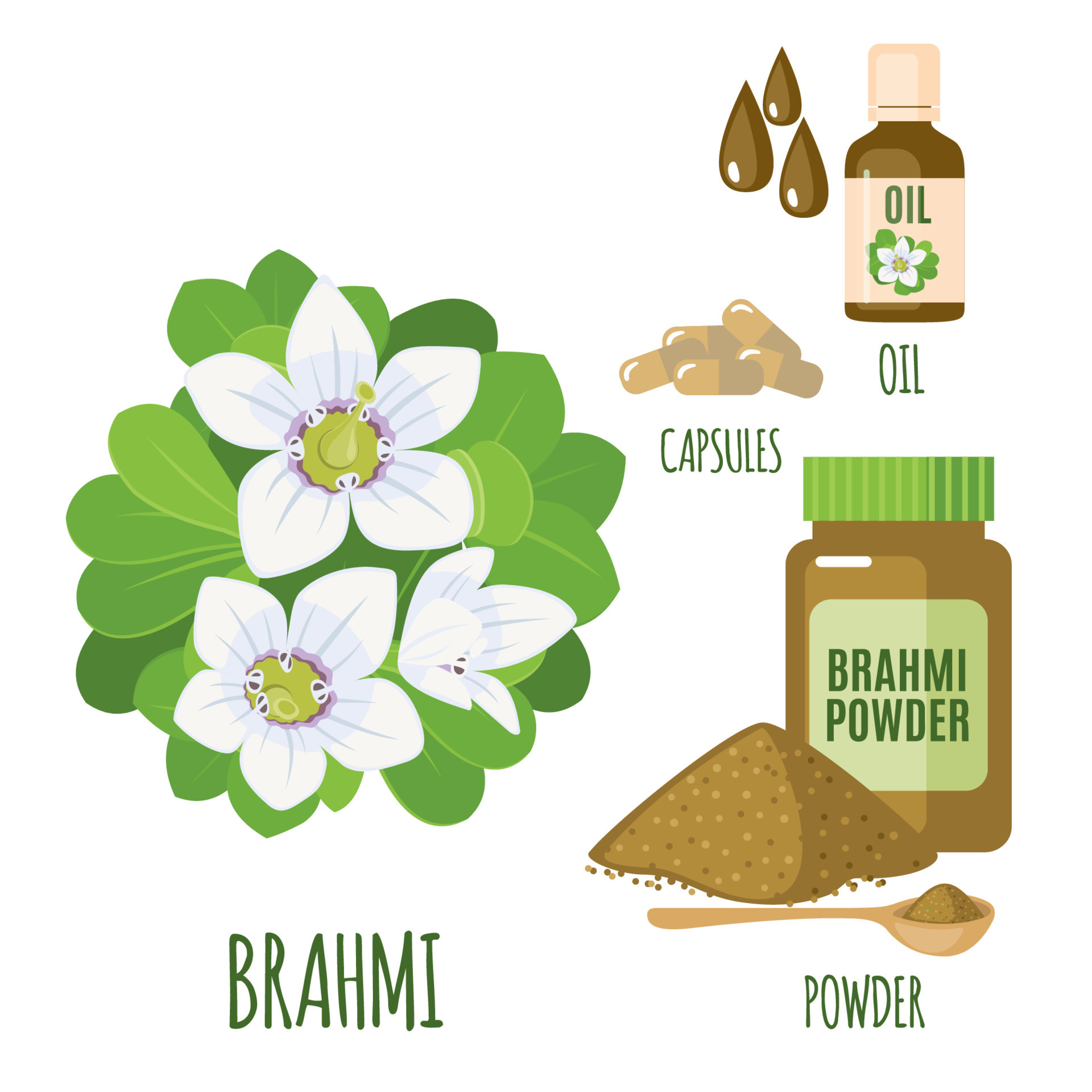 Brahmi set with powder, oil and capsules in flat style isolated on ...