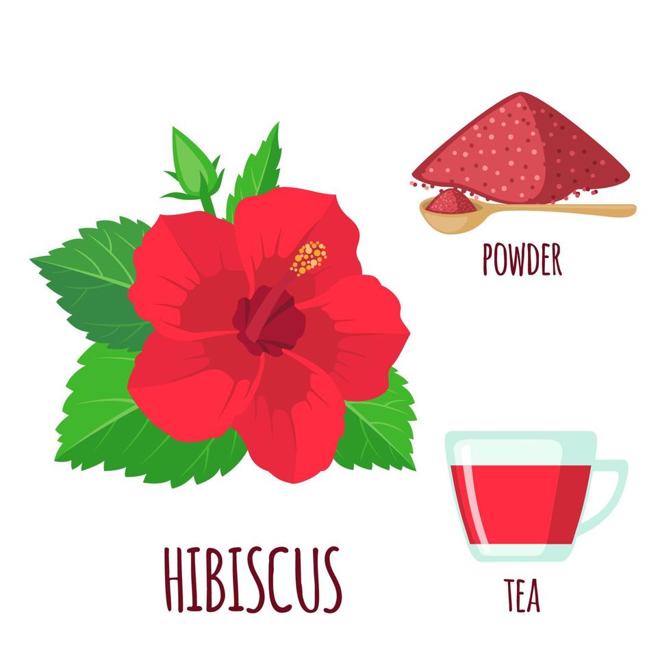 Hibiscus set with powder and tea in flat style isolated on white background. Vector illustration.