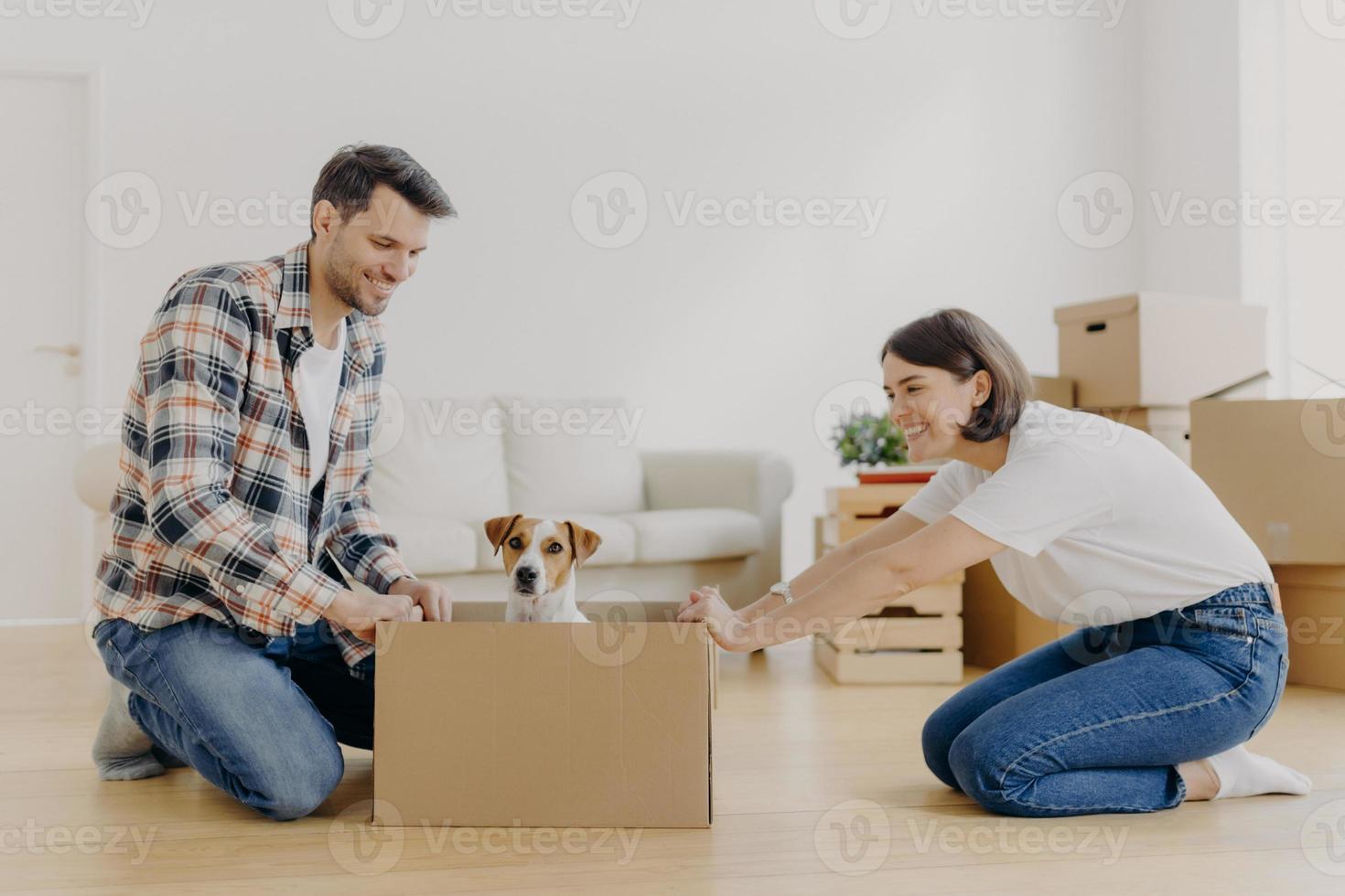 Horizontal shot of lovely woman moves cardboard box with small puppy to husband side, spend free time together, move in new modern dwelling, unpack belongings, start new life in modern flat. photo