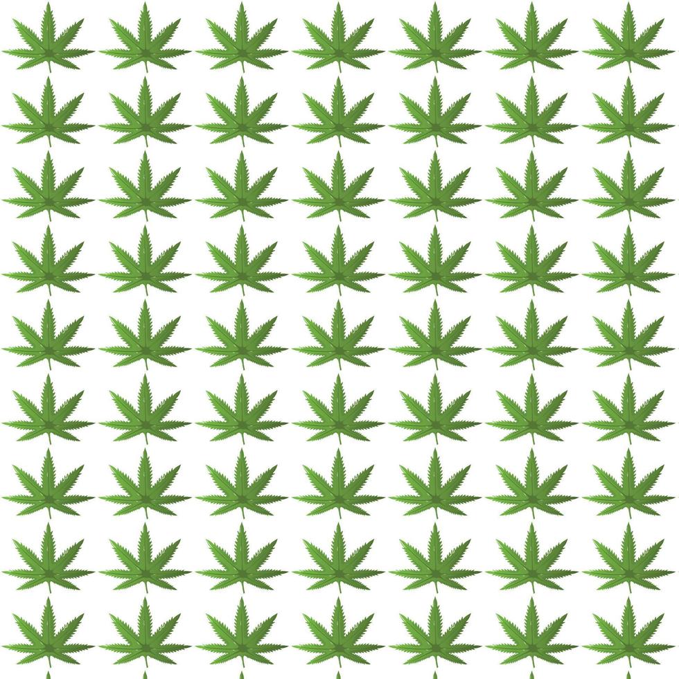 vector de patrones sin fisuras de marihuana. diseño de textura floral de hoja de cannabis verde claro.