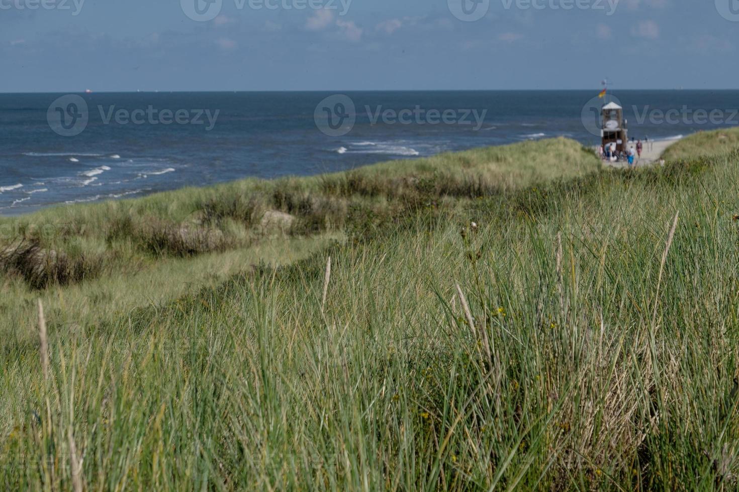 the spiekeroog island in germany photo