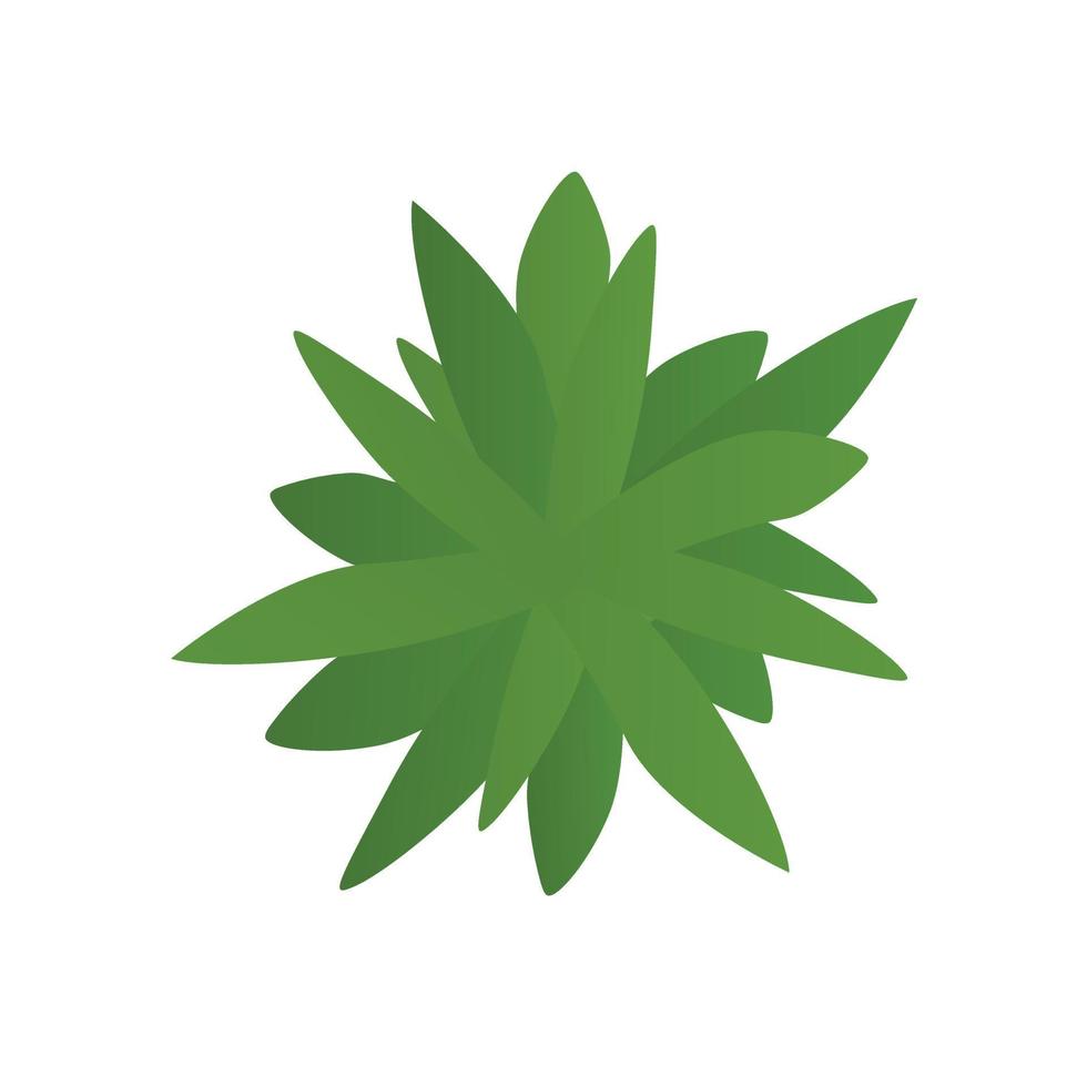 Top view palm leaves tree isolated on white background. Vector cartoon illustration