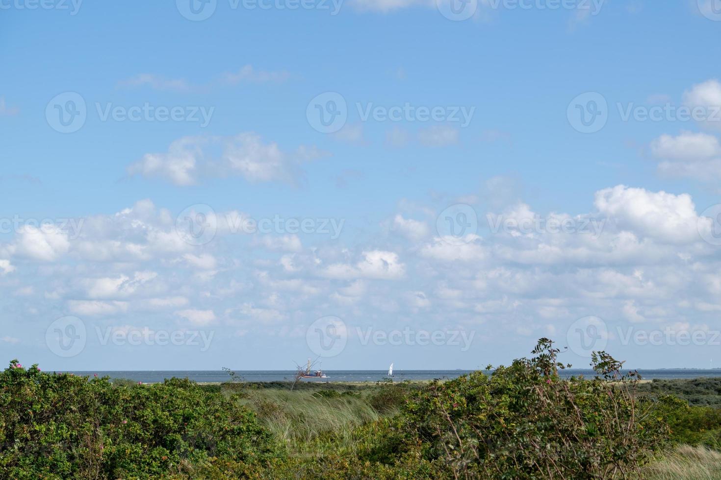 the spiekeroog island in germany photo