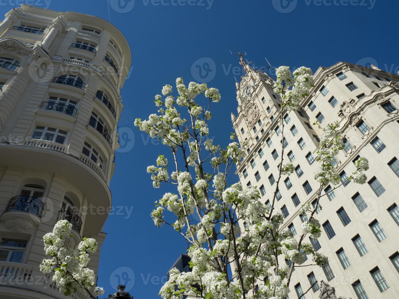 the city of Madrid in spain photo