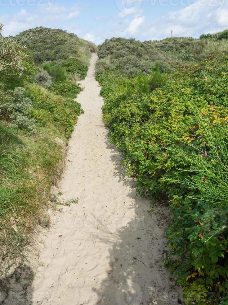 Spiekeroog island in germany photo