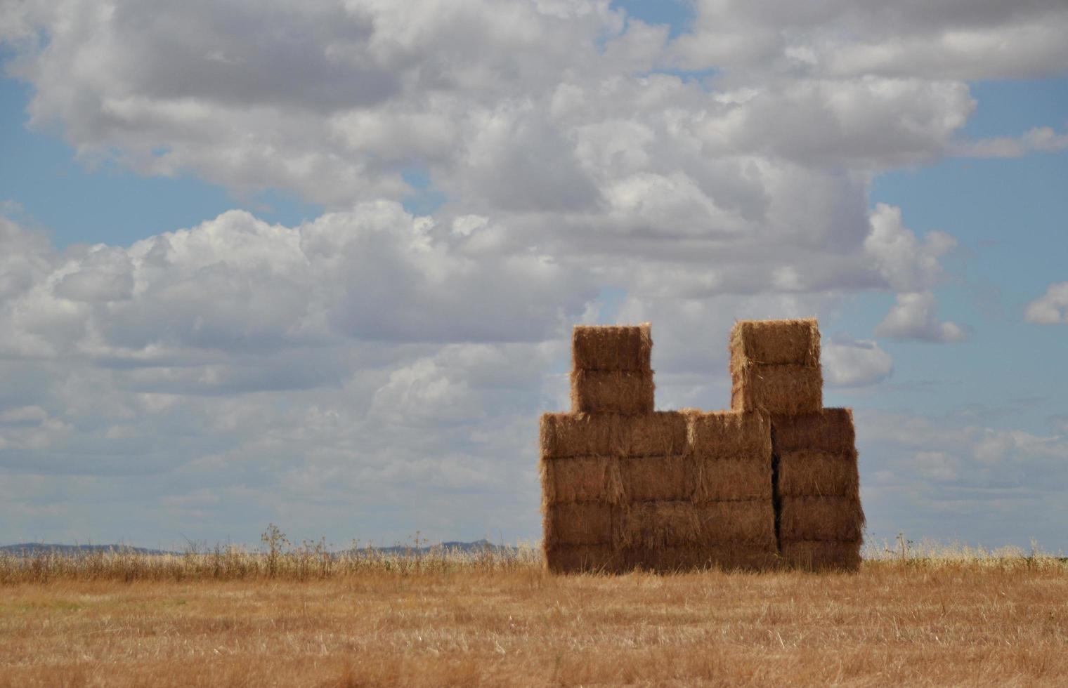 Straw bales in the field photo